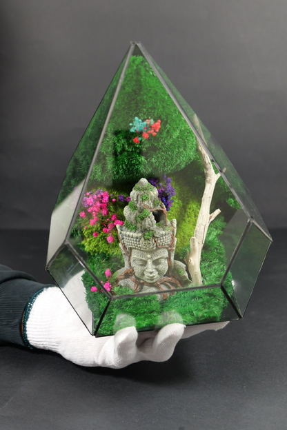 Terrarium 10