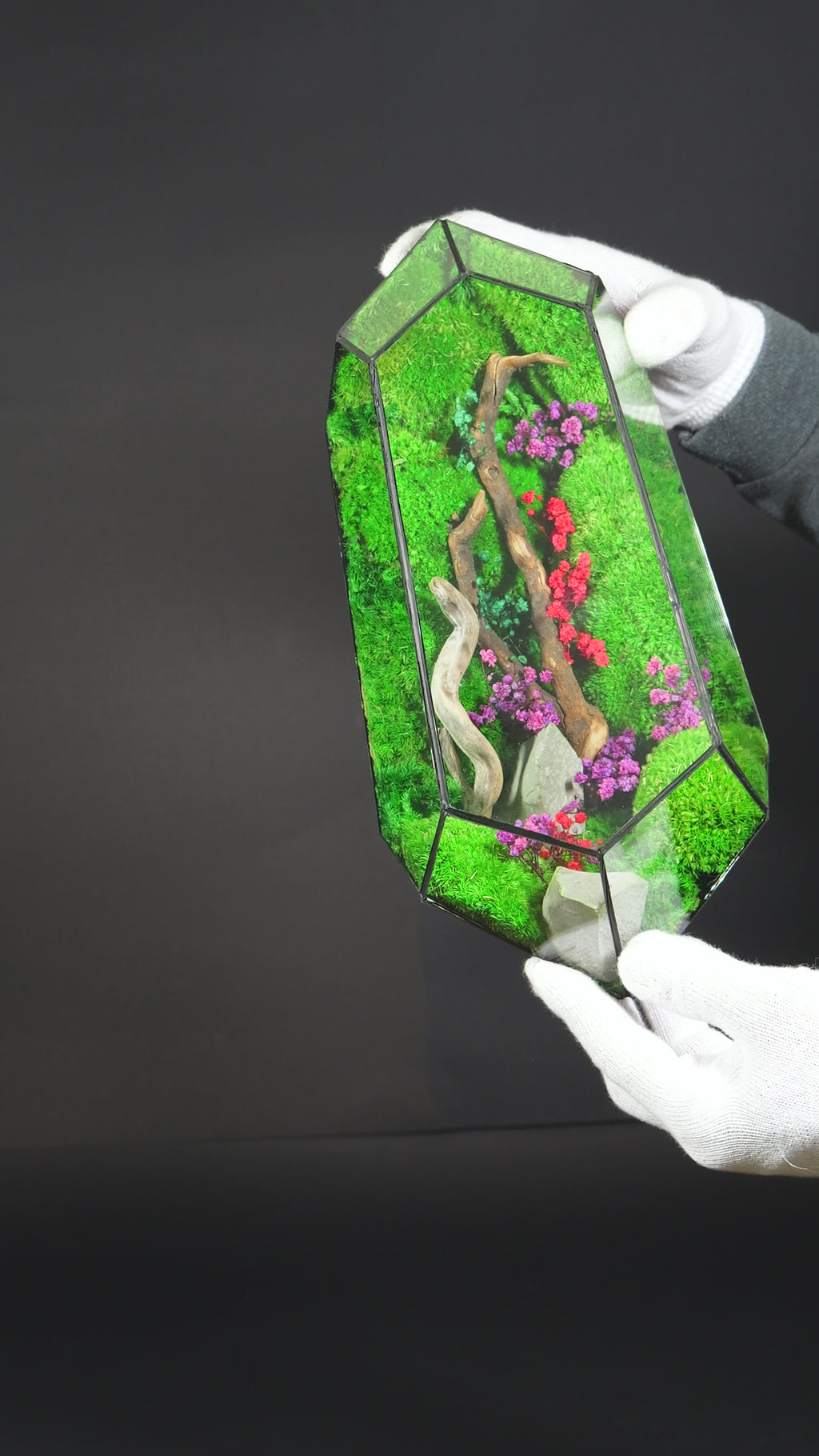 Terrario Botanico Decorativo – Oggetto di Design con Piante 3
