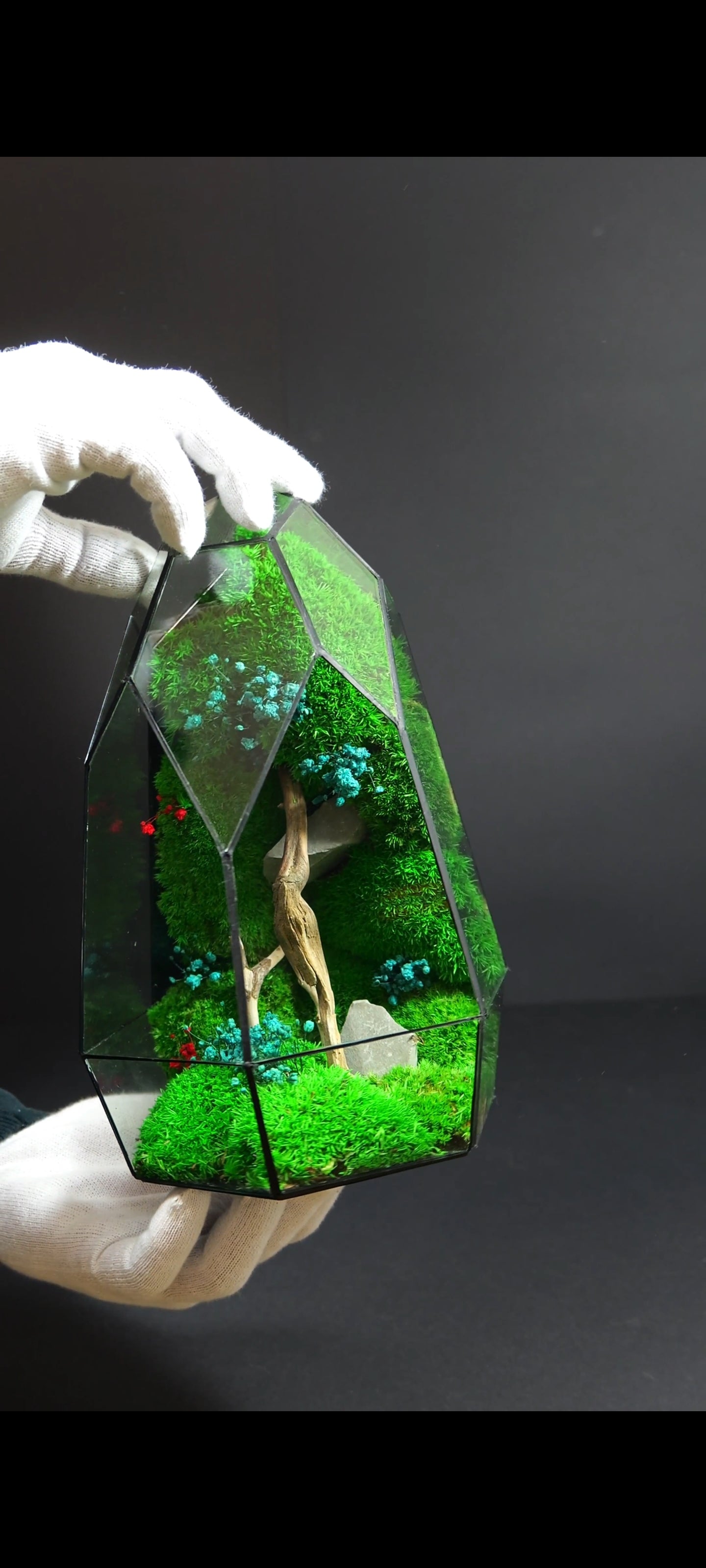 Terrarium da Tavolo Elegante – Ecosistema Verde Naturale 19