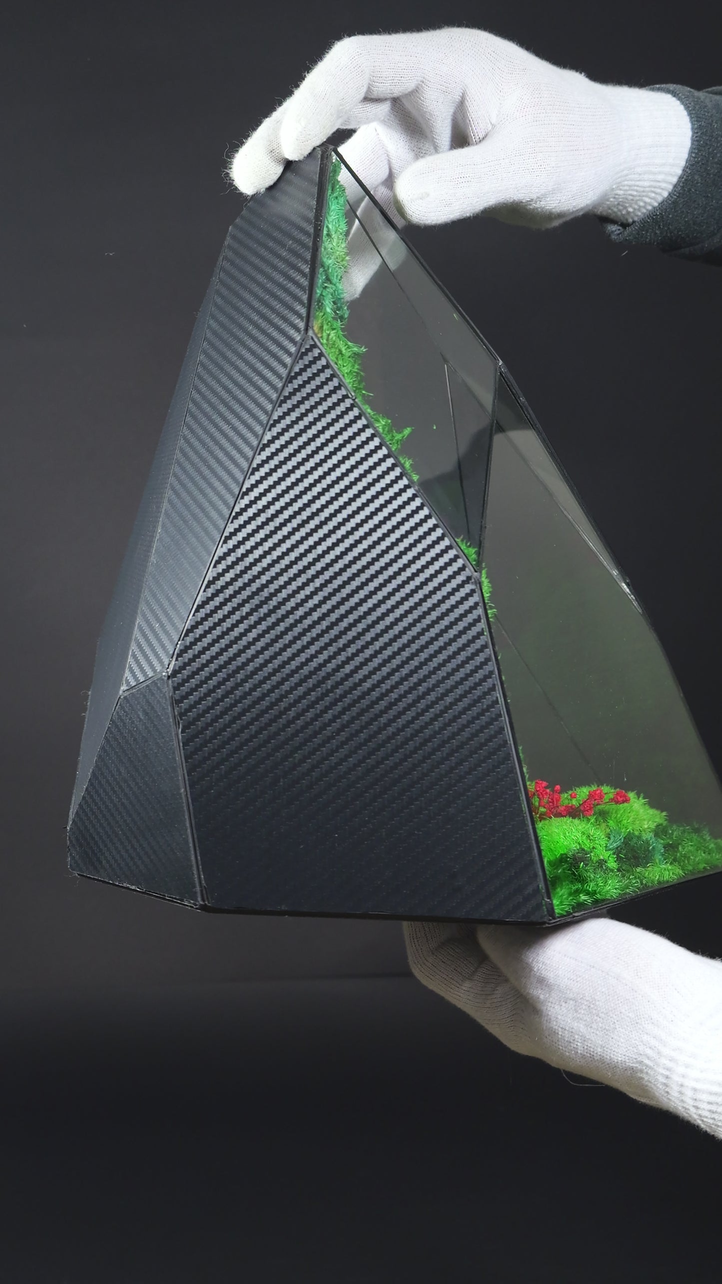 Terrarium 35 GIGANTE