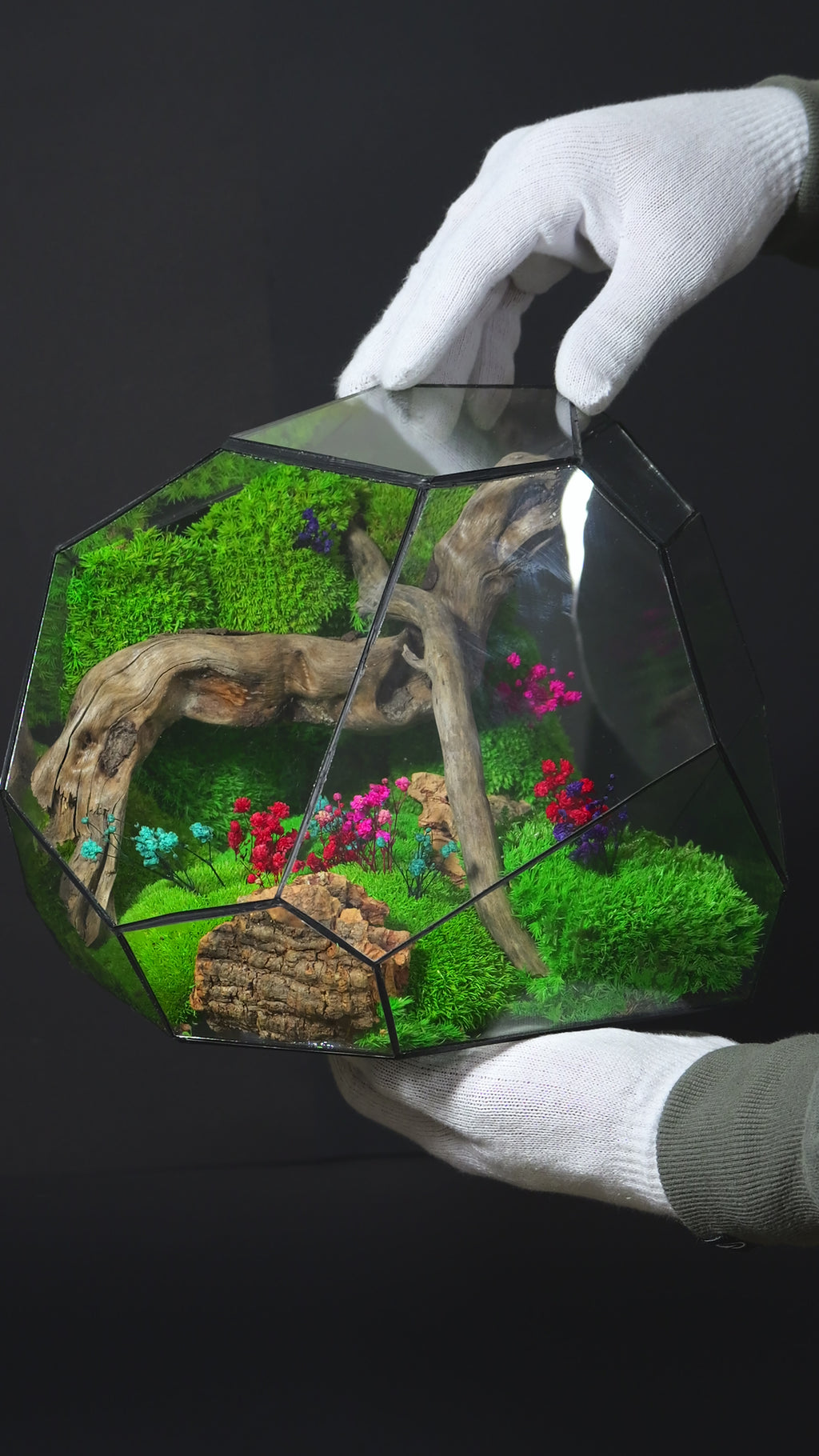 Terrarium ecosistemico autosostenibile decorativo per casa 24