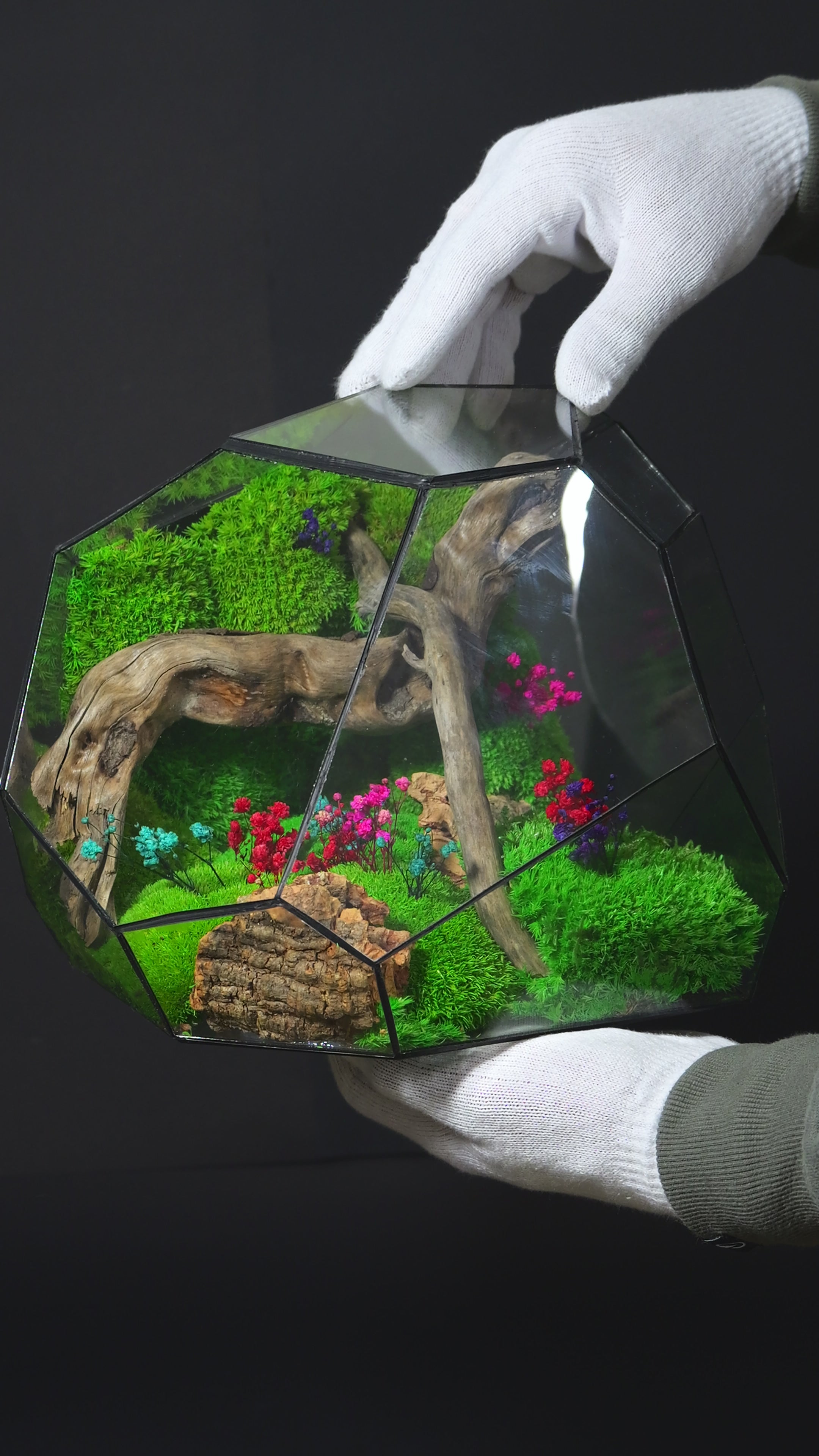 Terrarium ecosistemico autosostenibile decorativo per casa 24