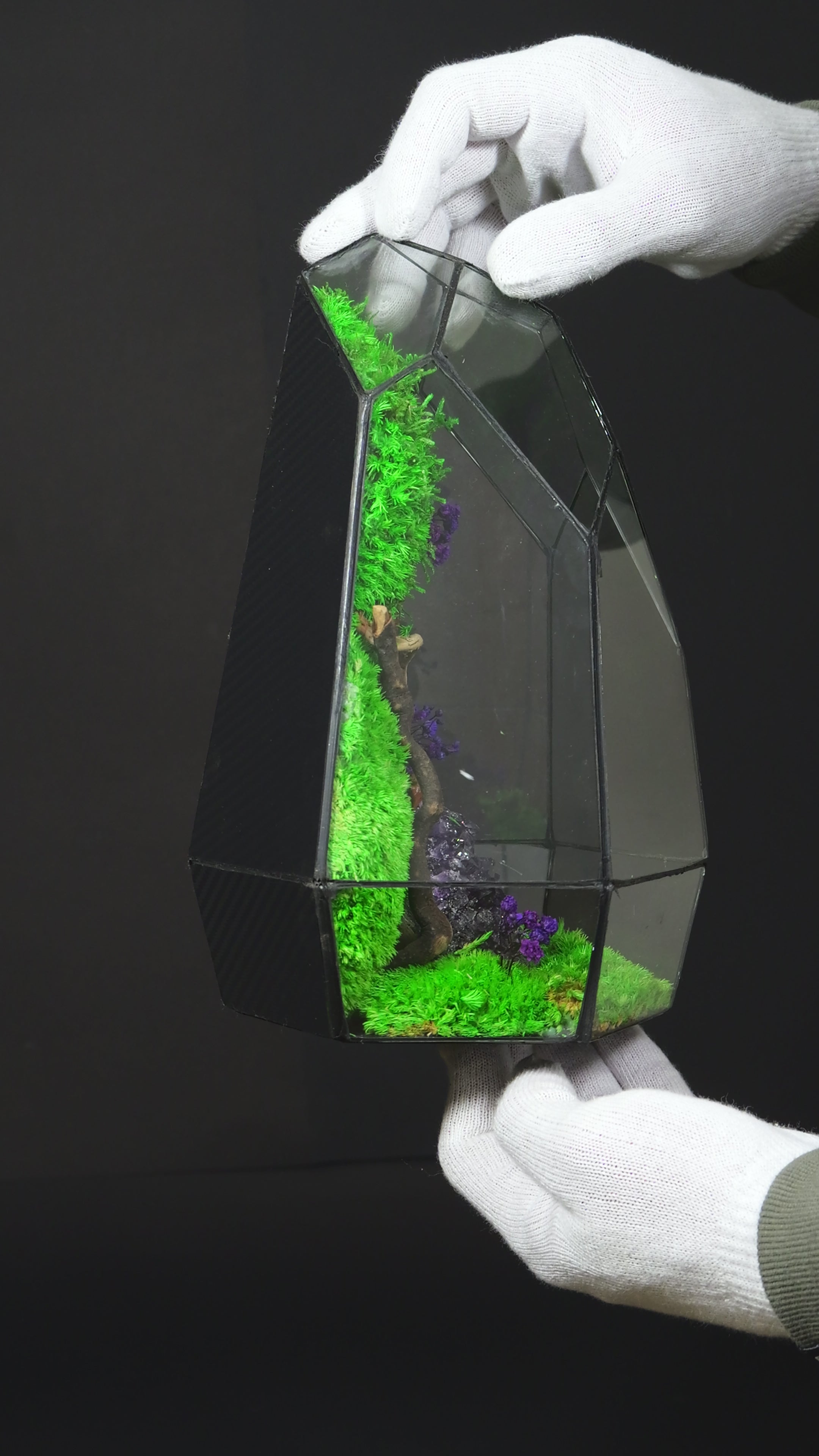 Terrarium Handmade in Vetro – Decorazione Botanica Moderna22