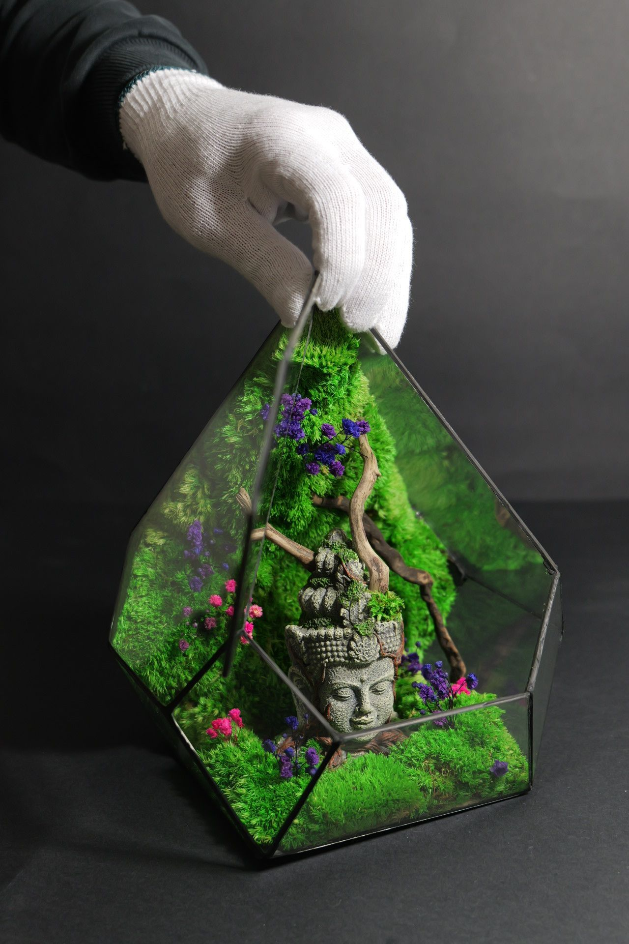 Terrarium 9