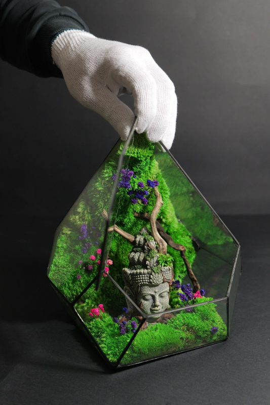 Terrarium 9