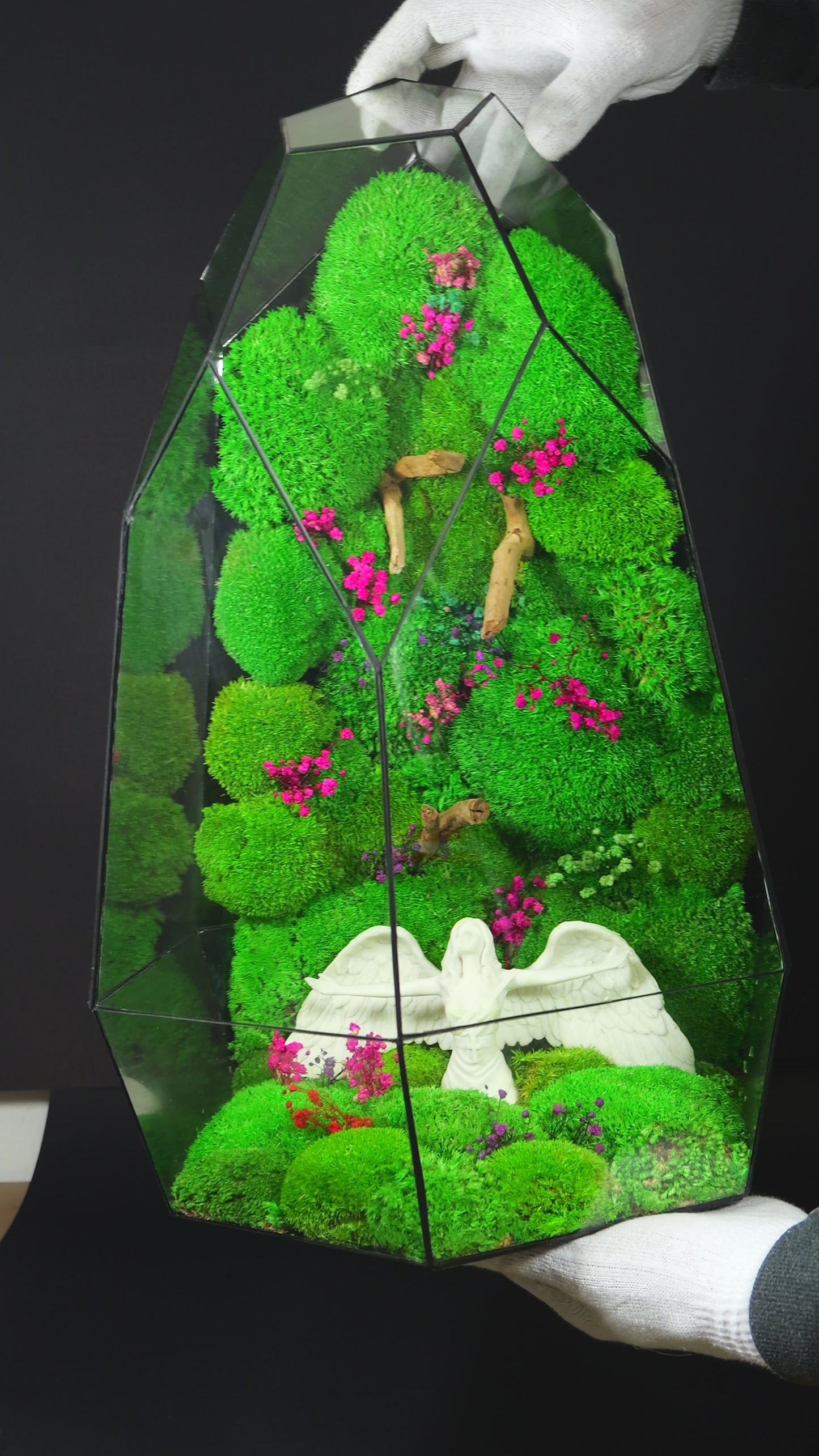 Terrarium 38 GIGANTE