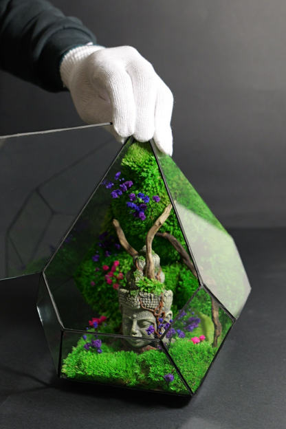 Terrarium 9