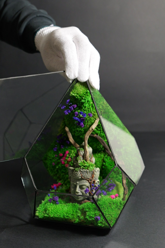 Terrarium 9