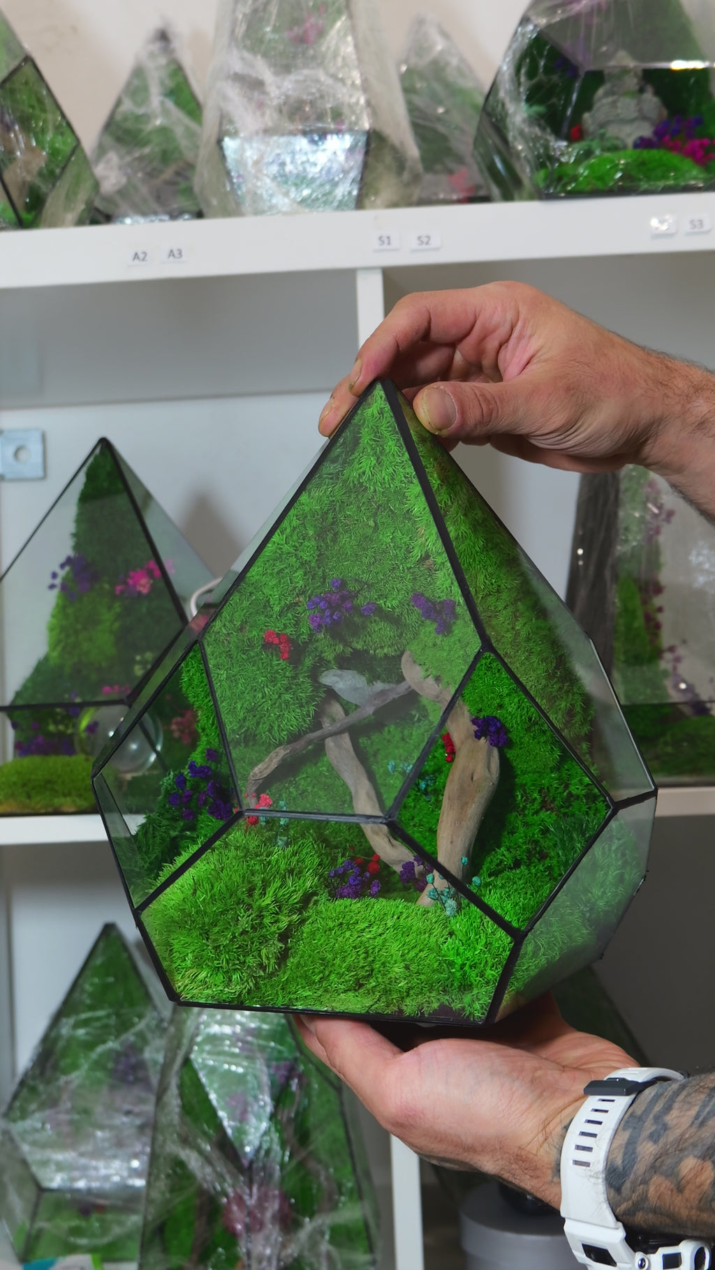 Terrarium Artigianale con Muschio Stabilizzato – Arredo Green Moderno 48