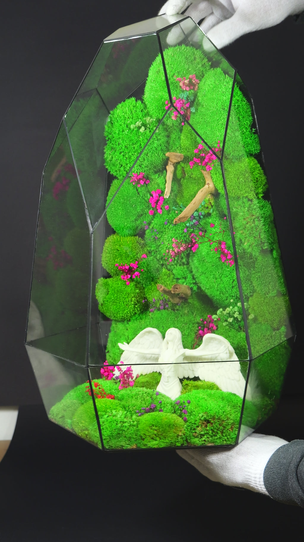 Terrarium Decorativo – Regalo Ecologico per Casa 38