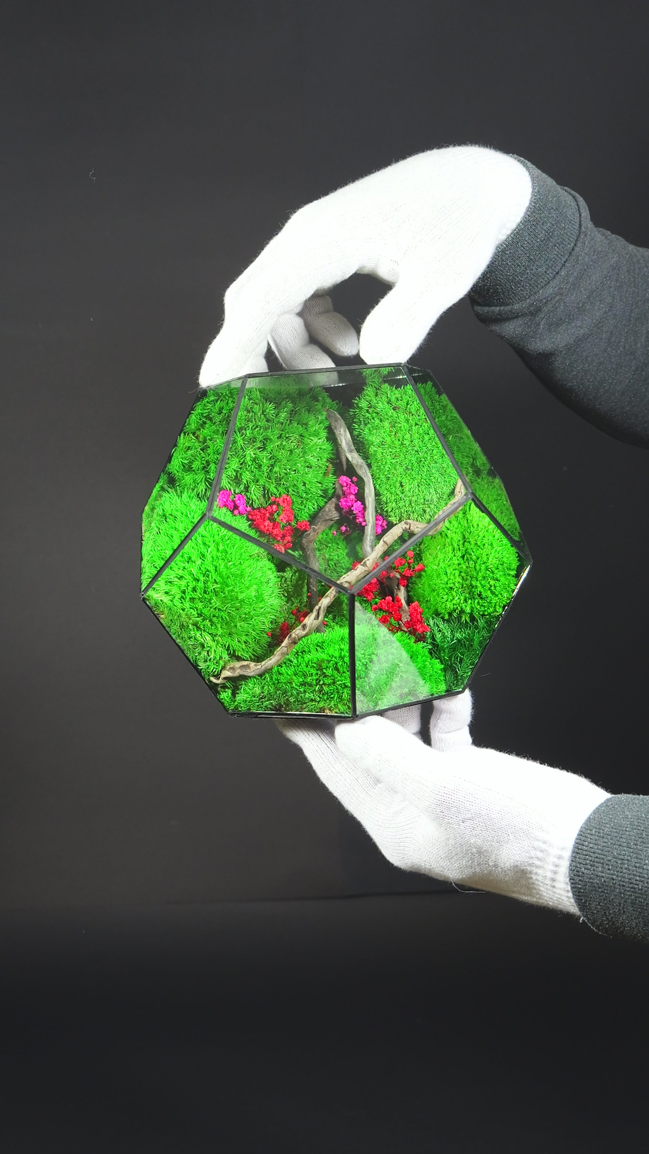 Terrarium Regalo Originale – Giardino in Miniatura in Vetro 31