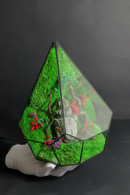 Terrarium 7