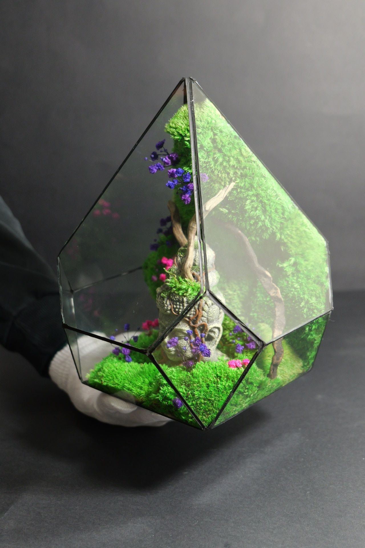 Terrarium 9