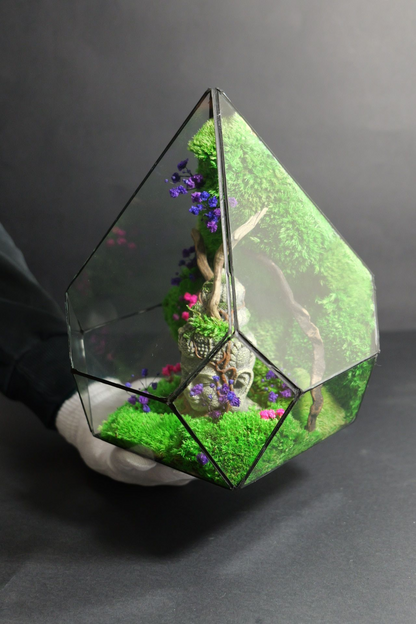 Terrarium 9