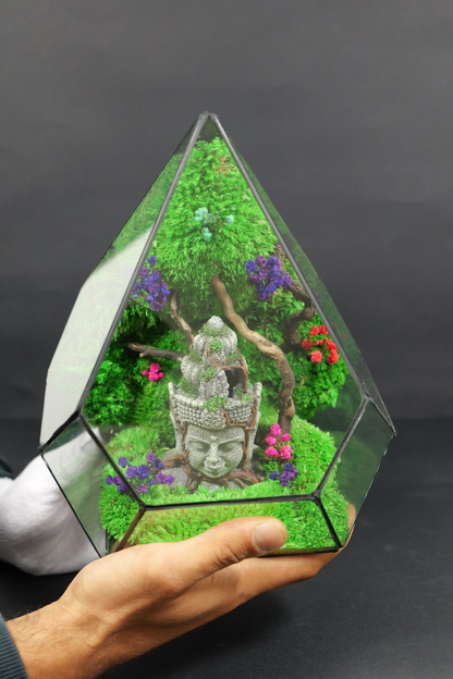 Terrarium 2