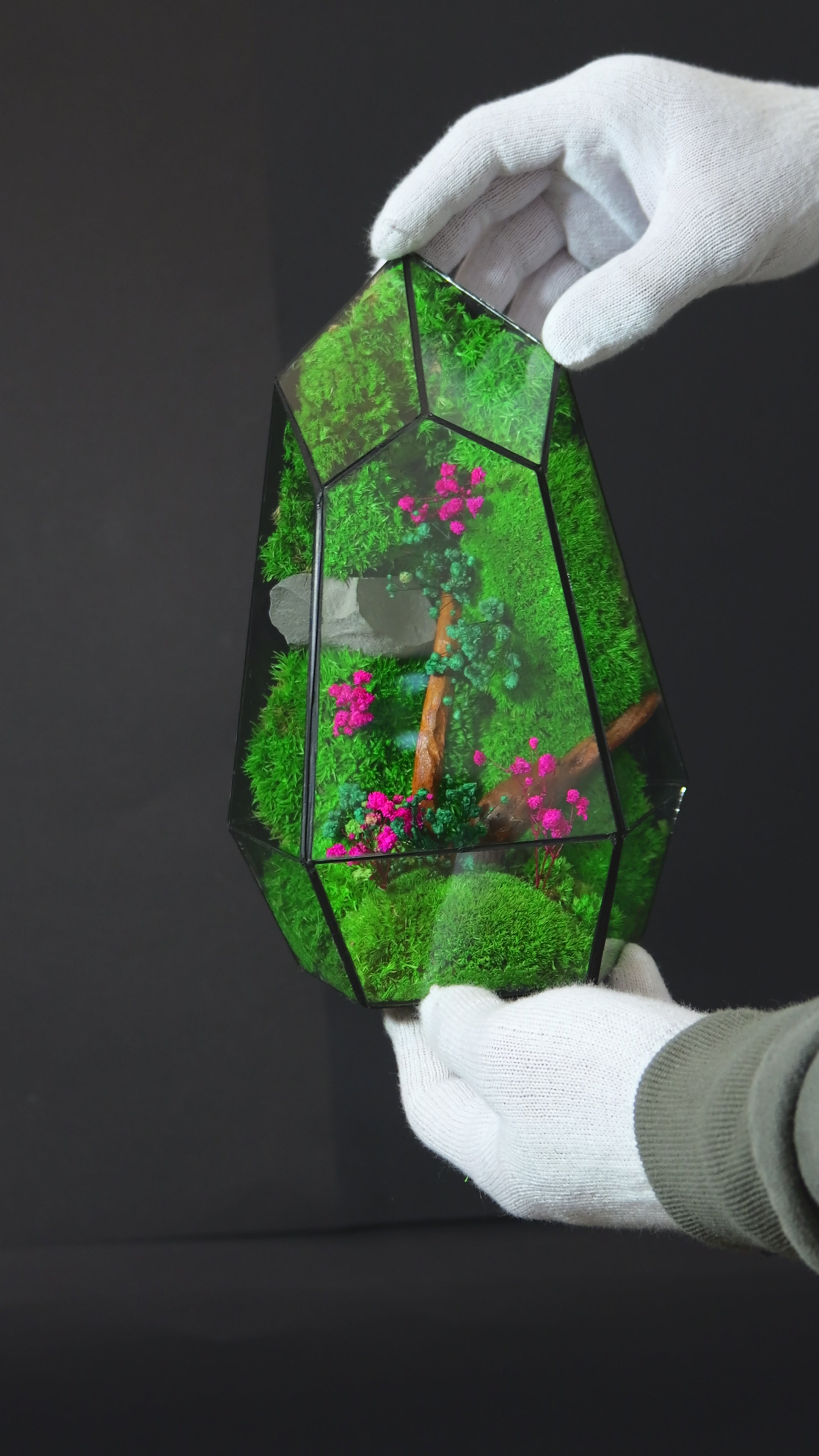 Terrario Decorativo Minimal – Ecosistema Naturale Autosufficiente 25