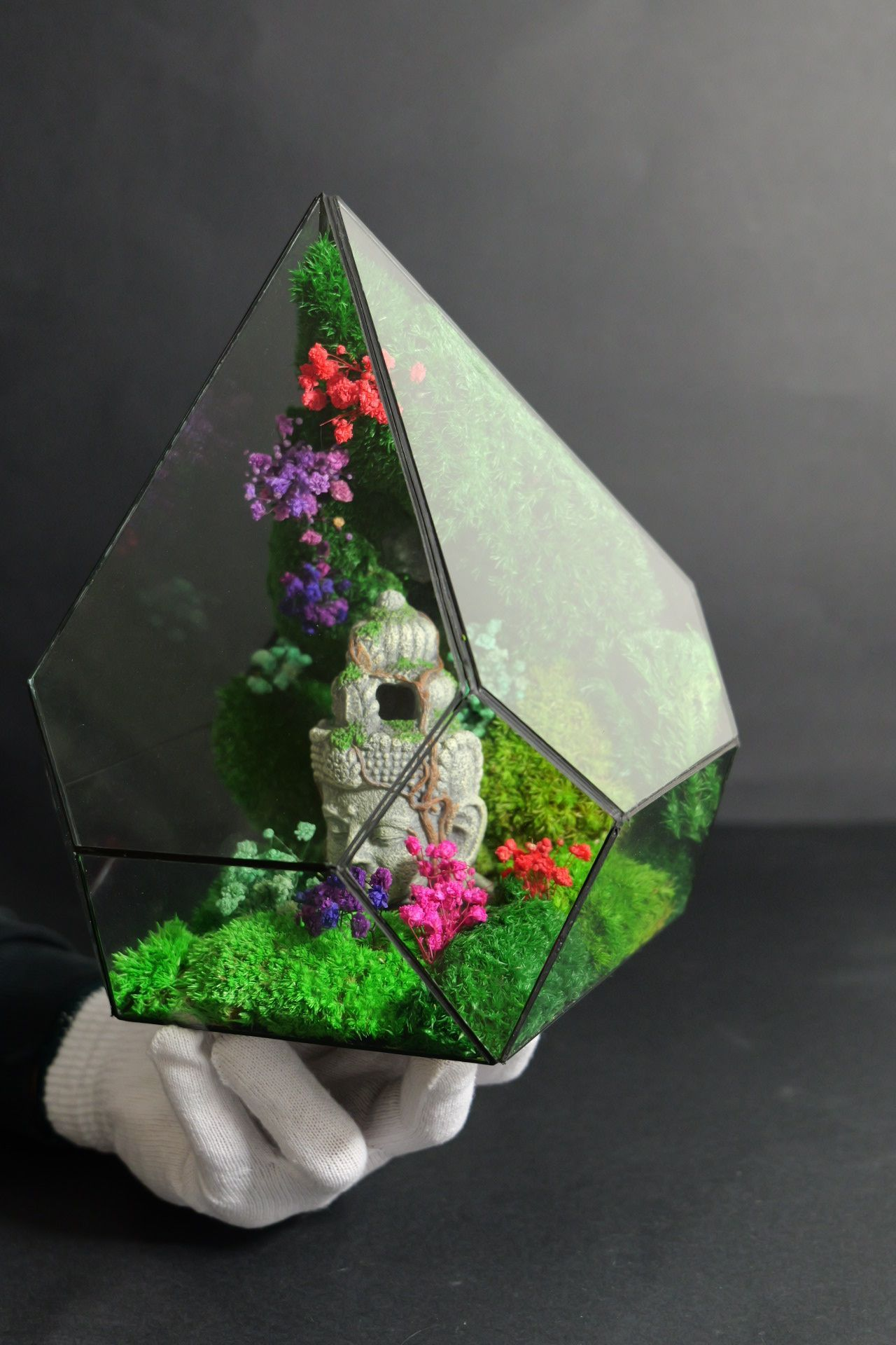 Terrarium 5