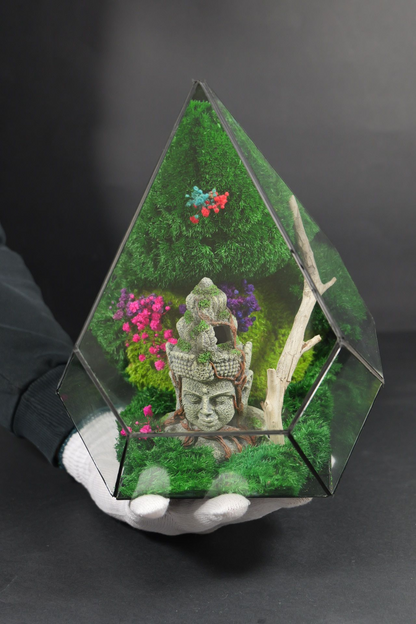 Terrarium 10