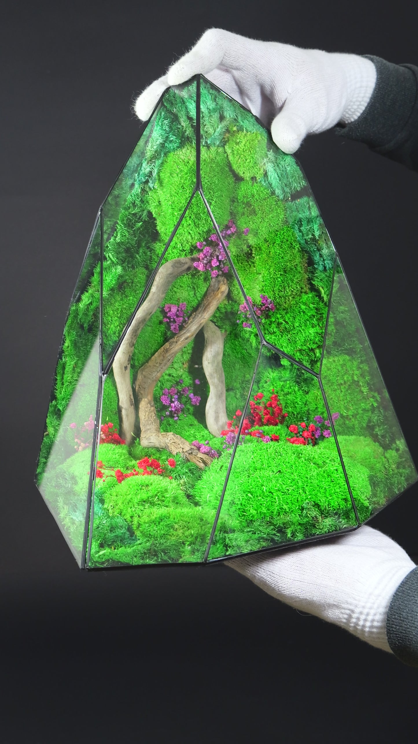 Terrarium 35 GIGANTE