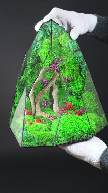 Terrarium 35 GIGANTE