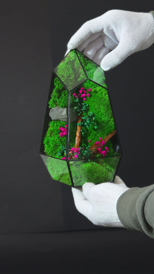 Terrarium 25