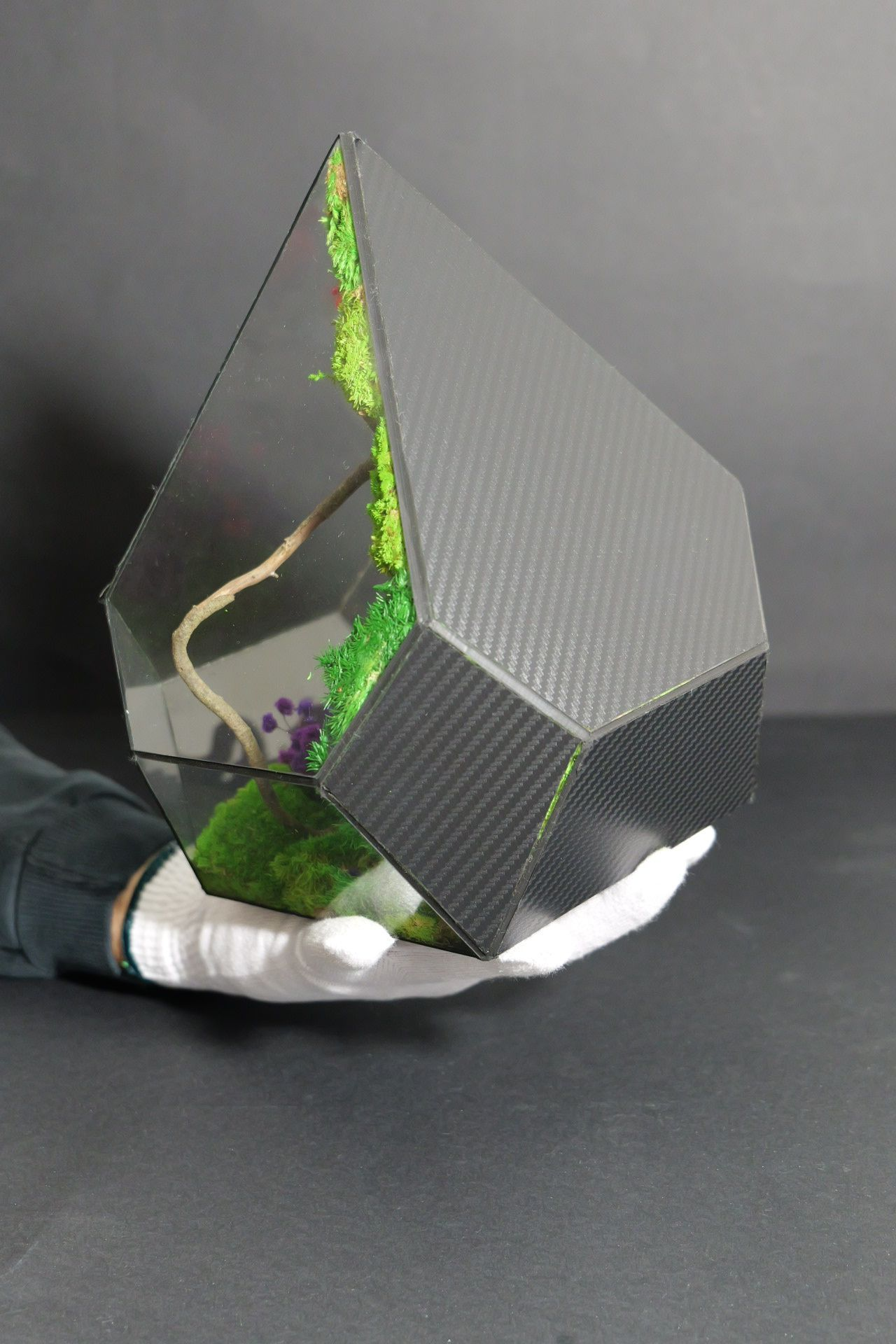Terrarium 12