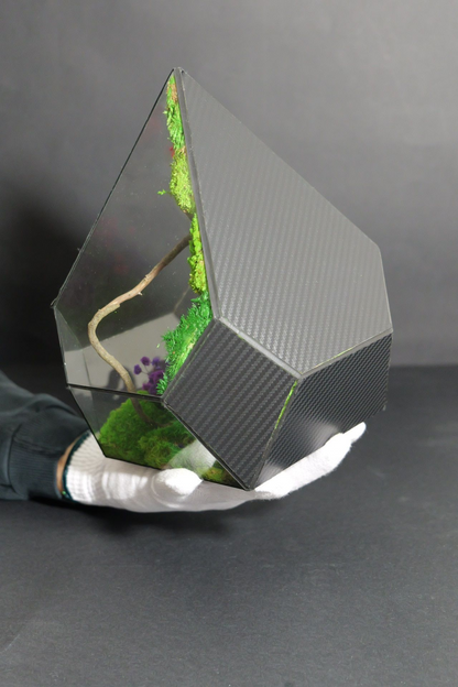 Terrarium 12