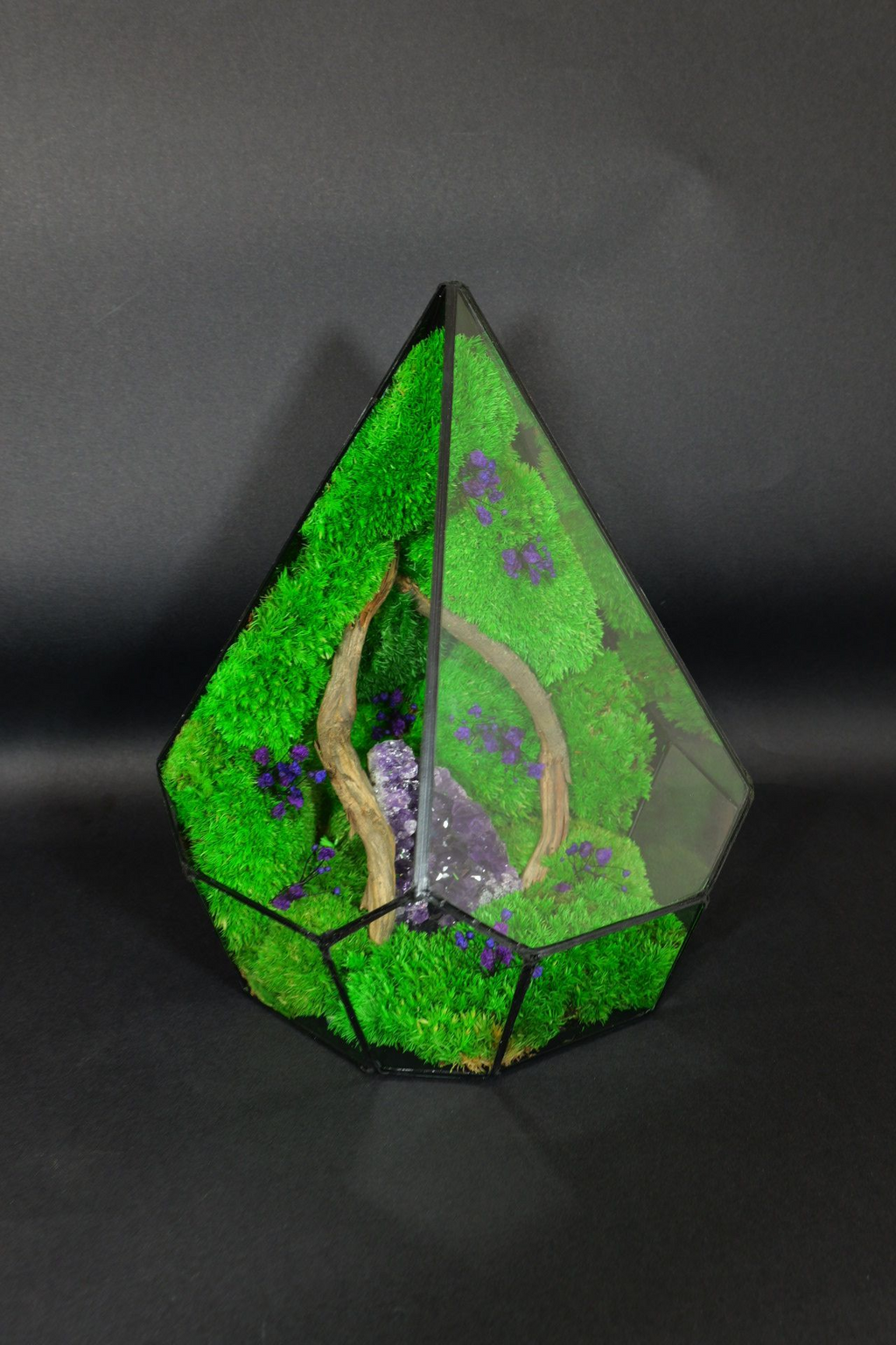 Giardino in Vetro Autosufficiente – Terrarium Handmade 44