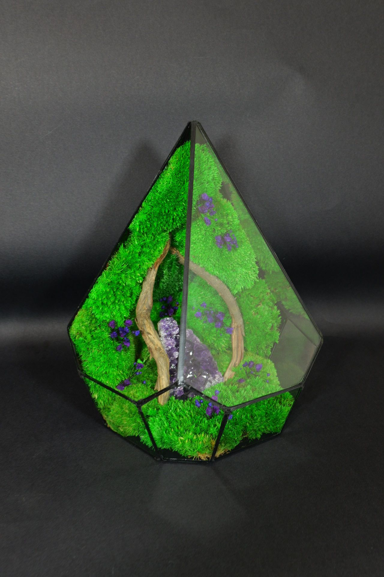 Giardino in Vetro Autosufficiente – Terrarium Handmade 44