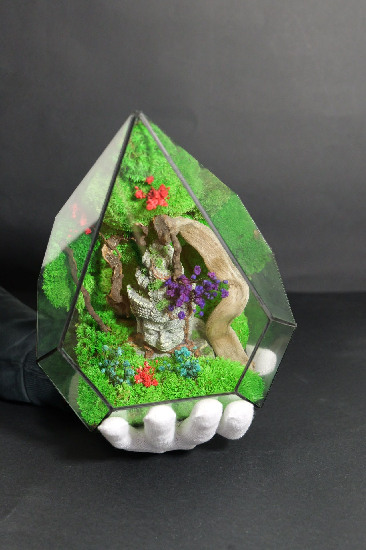 Terrarium 11