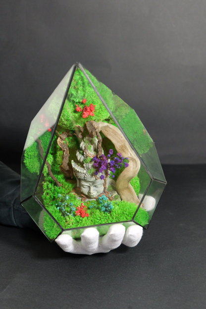 Terrarium 11