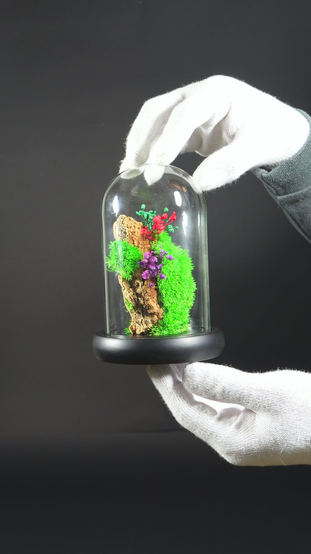 Terrario Chiusa Fatta a Mano – Decorazione Green di Design