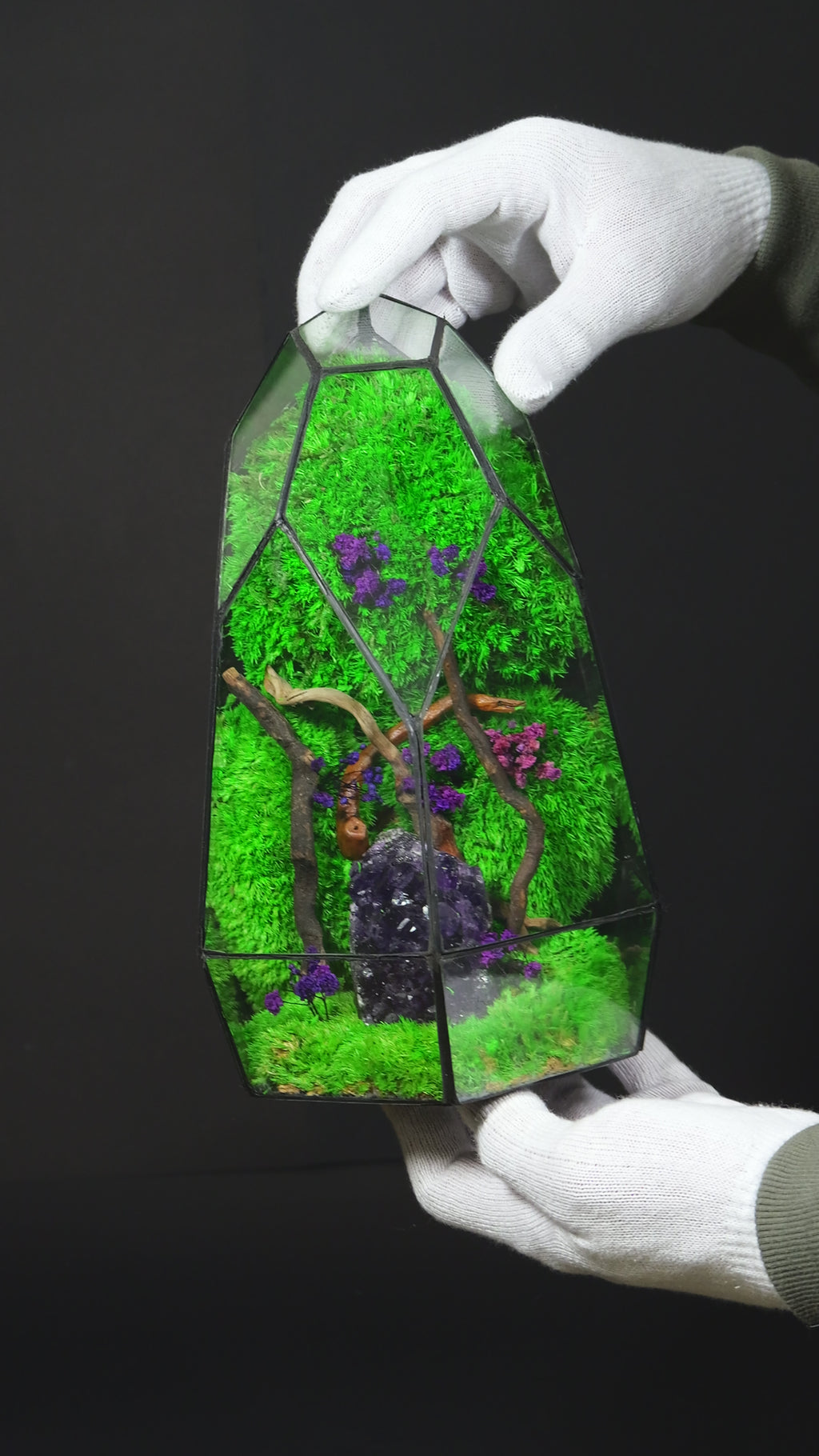 Terrarium Handmade in Vetro – Decorazione Botanica Moderna22