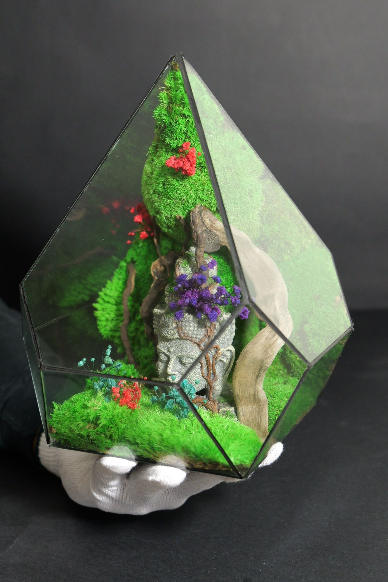 Terrarium 11