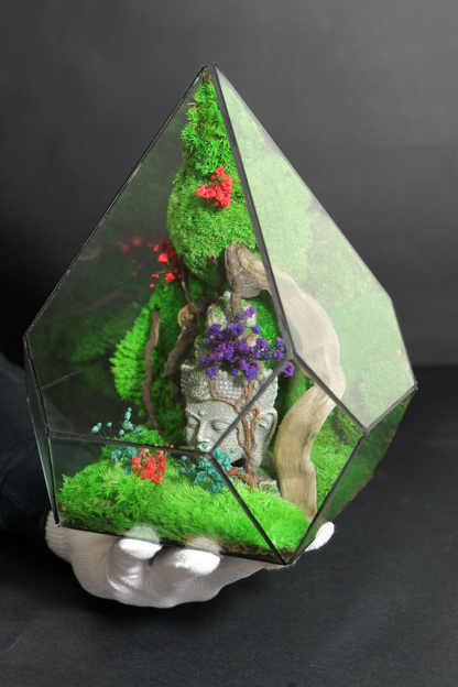 Terrarium 11
