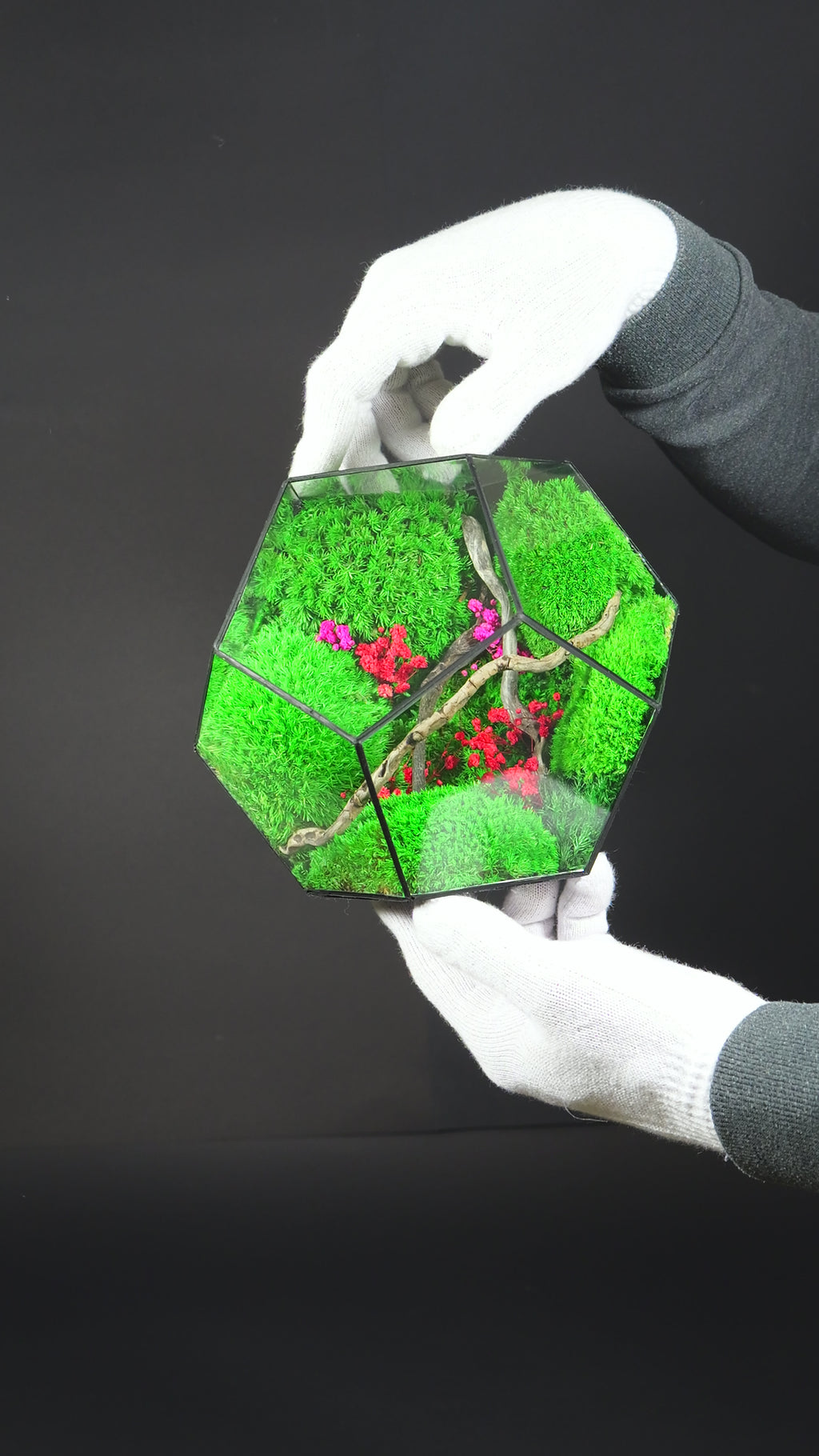 Terrarium Regalo Originale – Giardino in Miniatura in Vetro 31