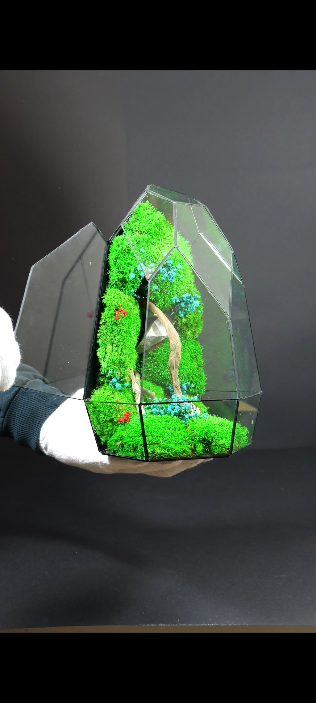 Terrarium da Tavolo Elegante – Ecosistema Verde Naturale 19