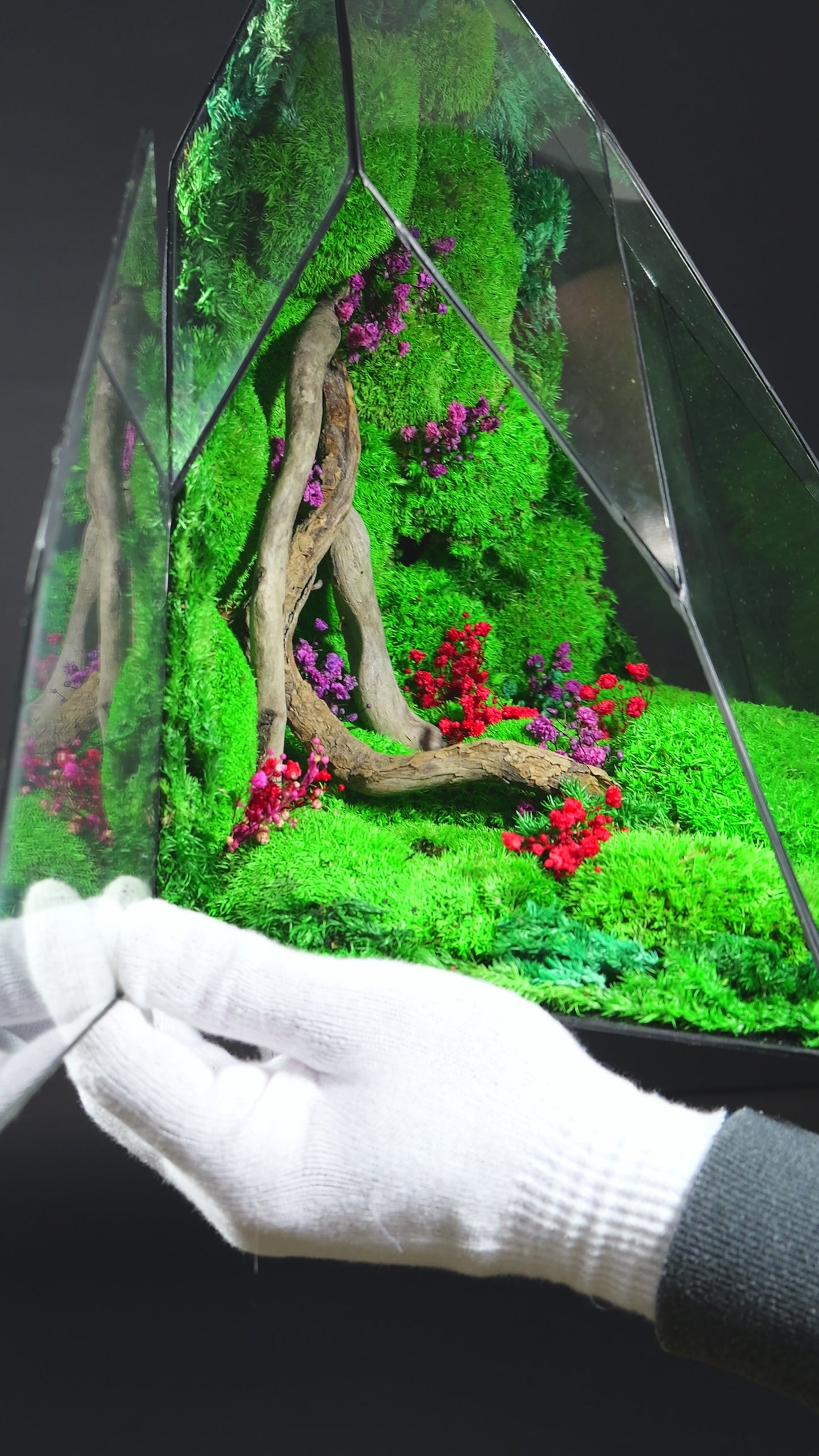 Terrarium 35 GIGANTE